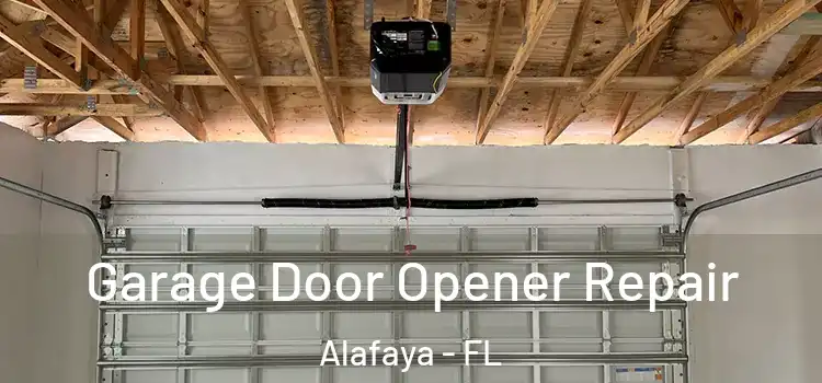  Garage Door Opener Repair Alafaya - FL