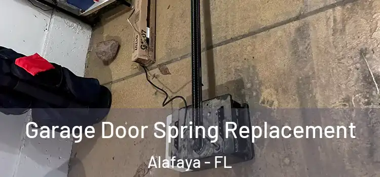  Garage Door Spring Replacement Alafaya - FL