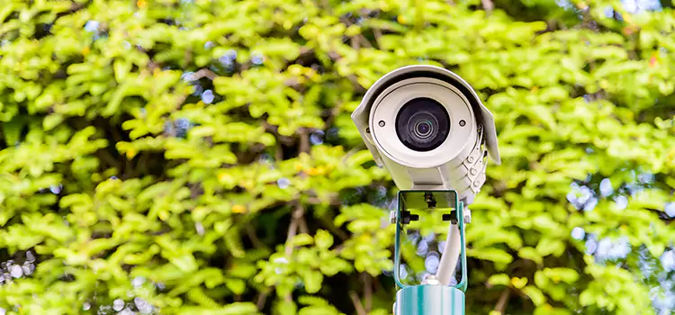 Advanced Surveillance Solutions for Every Need in Alafaya