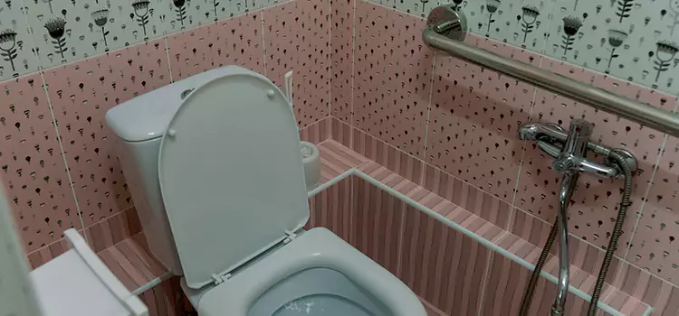 Meeting Diverse Needs With Accessible Restroom Solutions in Alafaya, FL