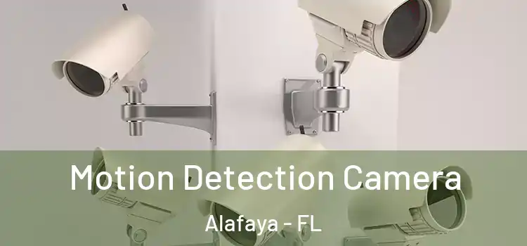  Motion Detection Camera Alafaya - FL